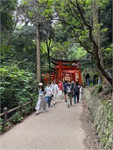 023- Fushimi-Inari-Taisha-Shrine
